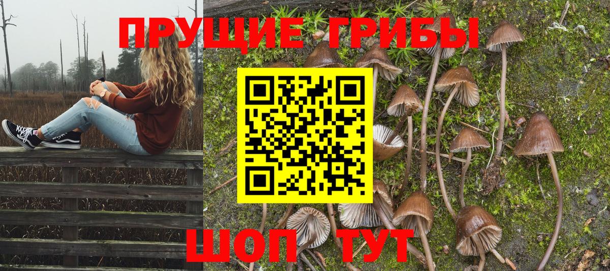 продажа наркотиков  Галлюциногенные грибы Psilocybine cubensis  Вход с VPN  Волгоград  Галлюциногенные грибы ЛСД 