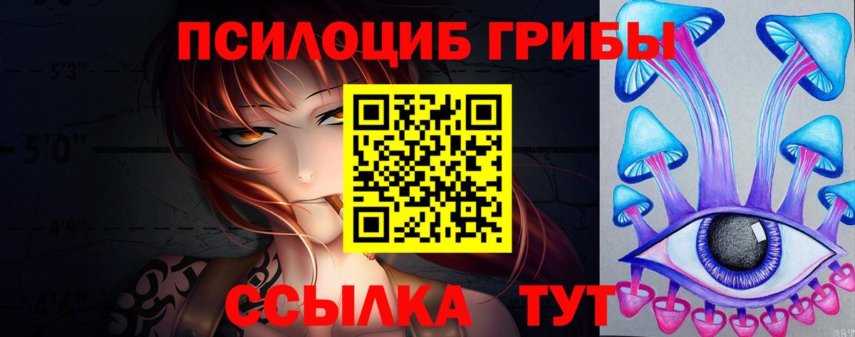 Псилоцибиновые грибы прущие грибы Волгоград