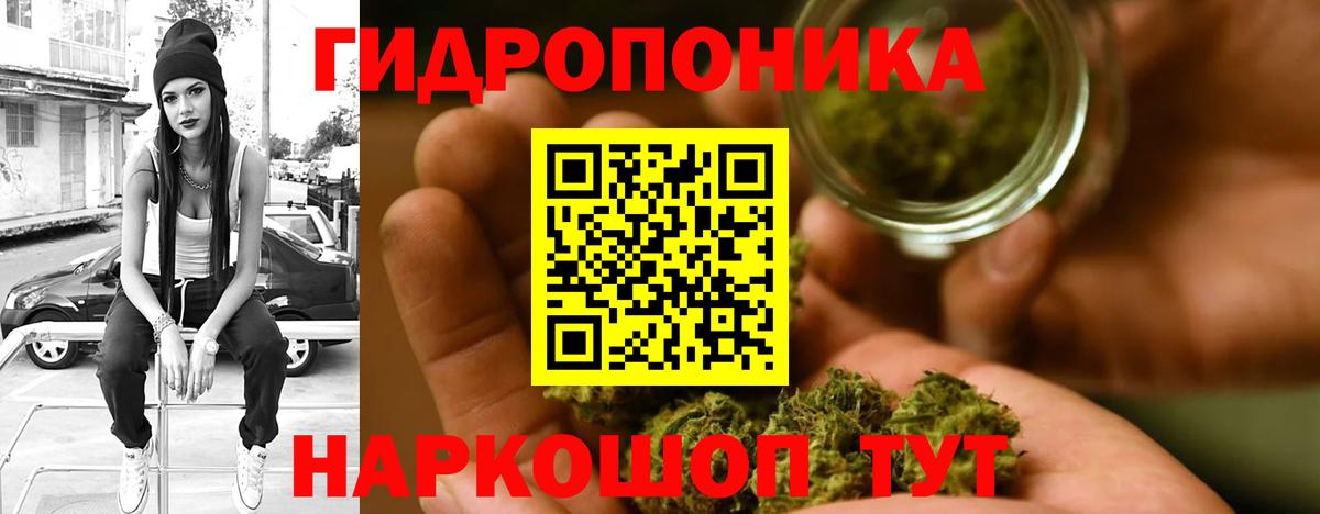 Марихуана Bruce Banner Волгоград